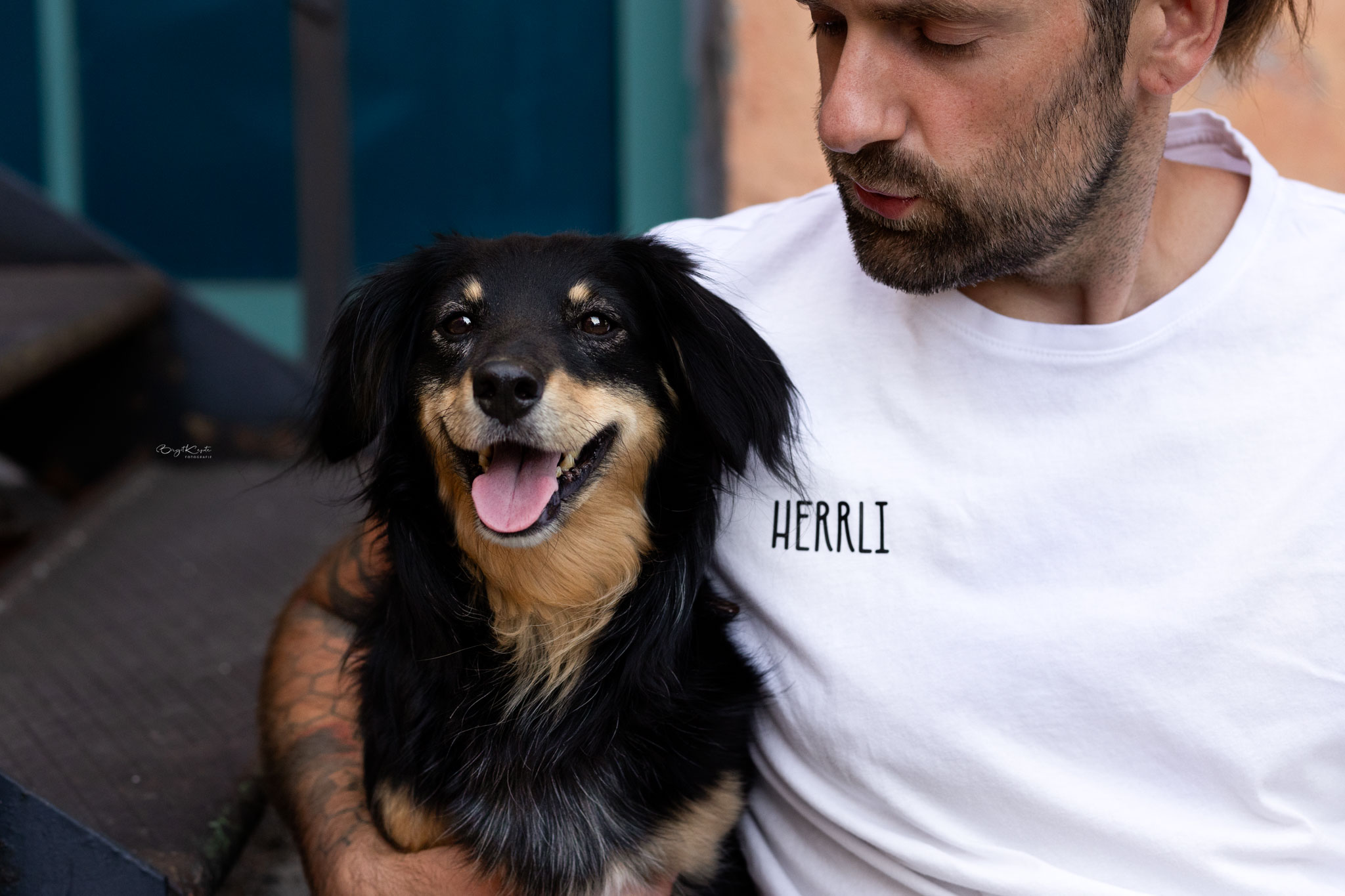 Herrli